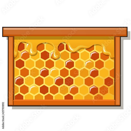 Wooden frame with sweet golden honeycomb with honey isolated on white background. Natural healthy food. Vector cartoon close-up illustration.