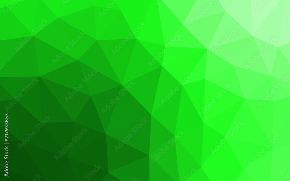 Light Green vector low poly cover. Light Green vector low poly cover.