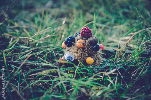 lovely hedgehog made out of autumn fruits
