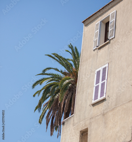 Palme am Haus auf Korsika © Stefffa Fotografie
