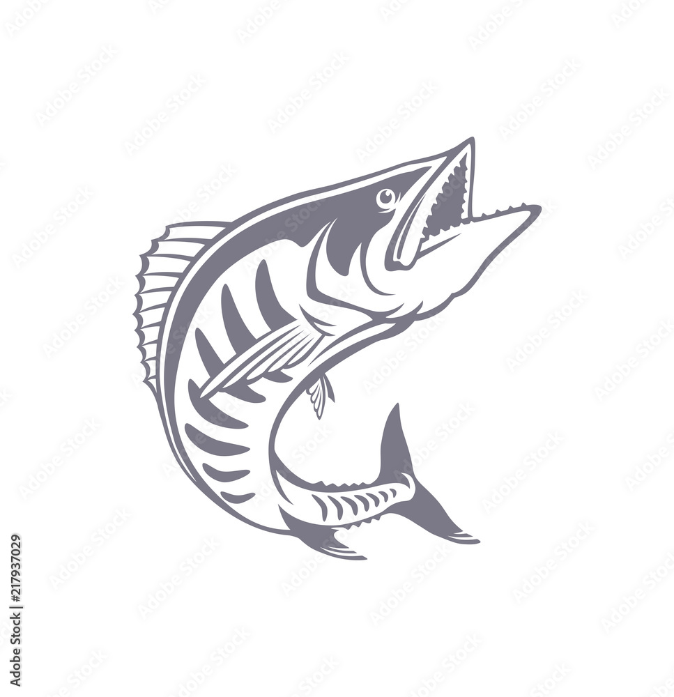 king mackerel Stock Vector Adobe Stock