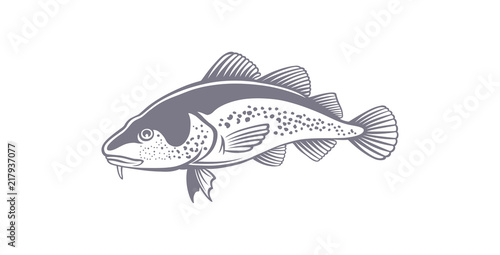 fish cod