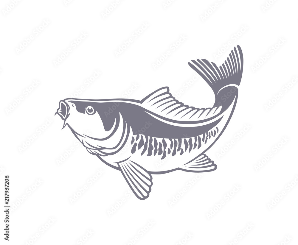 carp fish carp fish