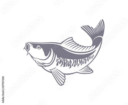 carp fish