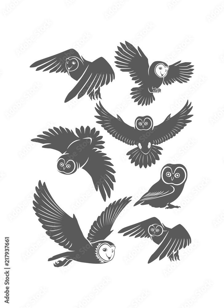 Fototapeta premium owl set image