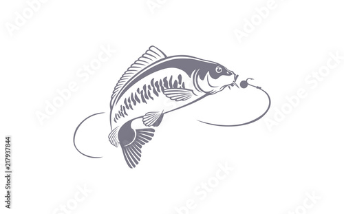 carp fish