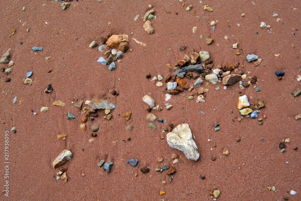 Beach close up background, Stone and seashell on sand at beach Beach close up background, Stone and seashell on sand at beach