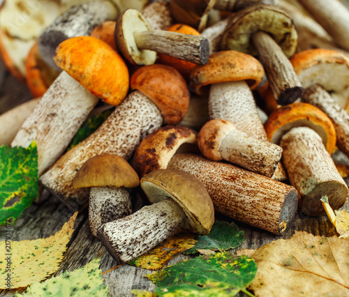 Fresh porcini mushrooms on rustic wooden background, side view