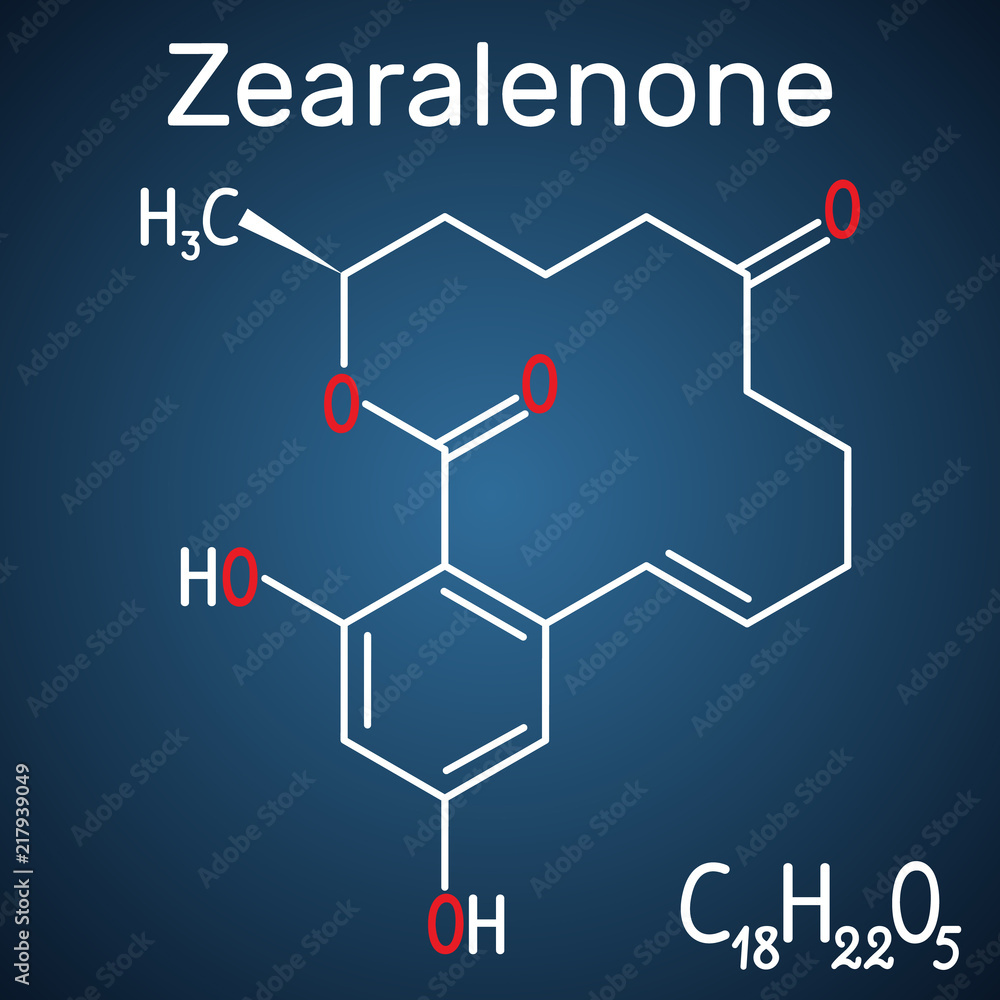 Fototapeta premium Zearalenone (ZEN) mycotoxin molecule. Structural chemical formula and molecule model on the dark blue background