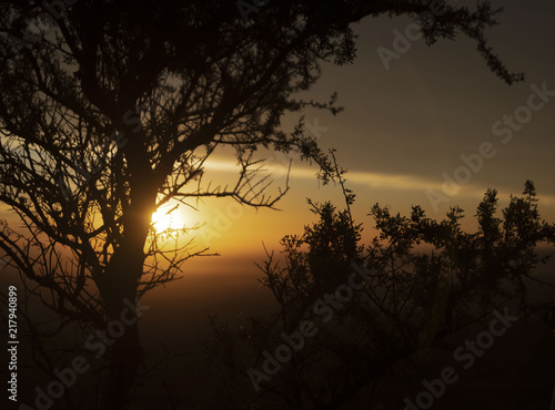 Atardecer