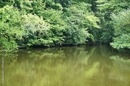 Teich wasser  see  baum  landschaft  natur  fluss  wald  himmel  green  teich  sommer  park  blau  gras  fr  hling  sch  nheit  ausserhalb  cloud  sch  n  gelassenheit  leise  day  