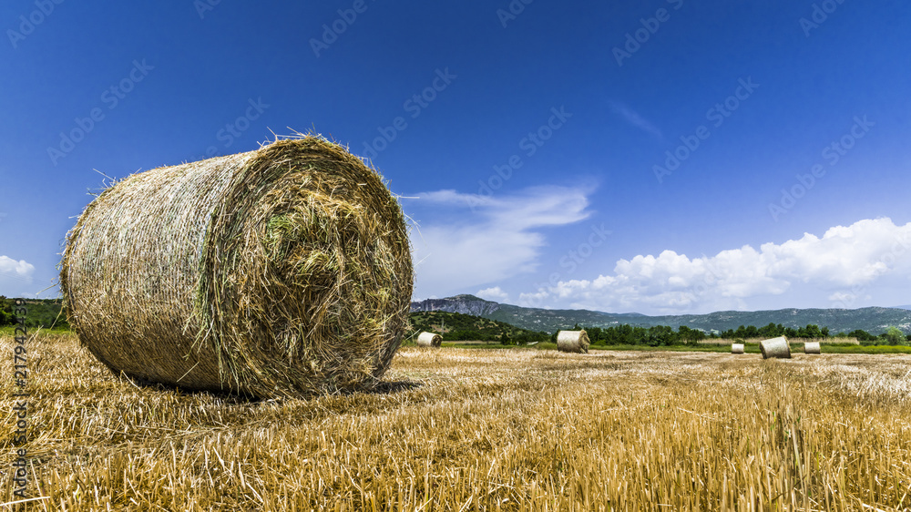 The harvester has finished harvesting the field
