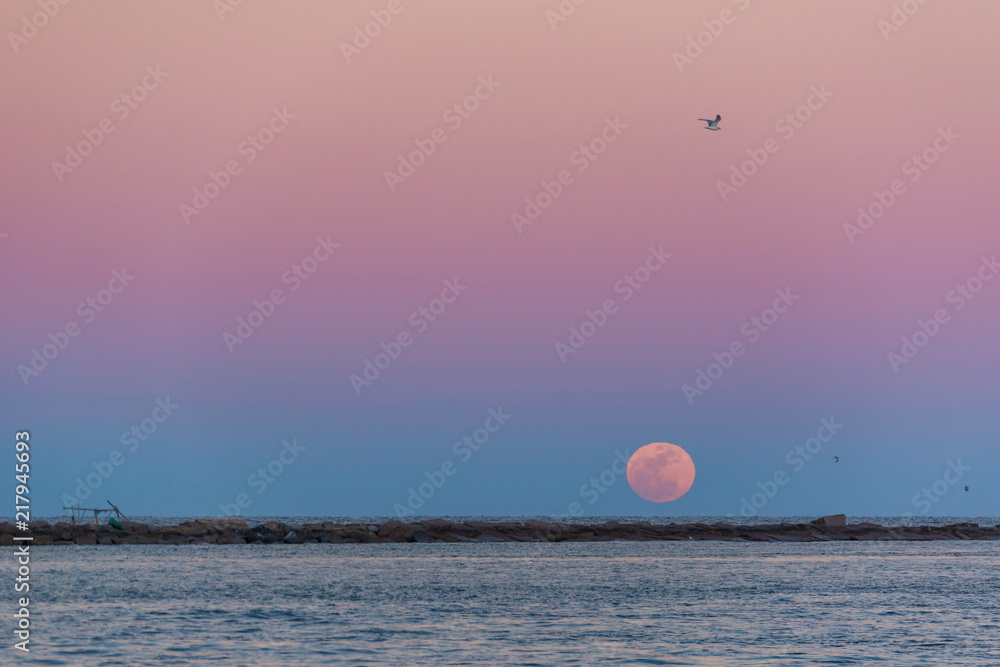 Morning seascape