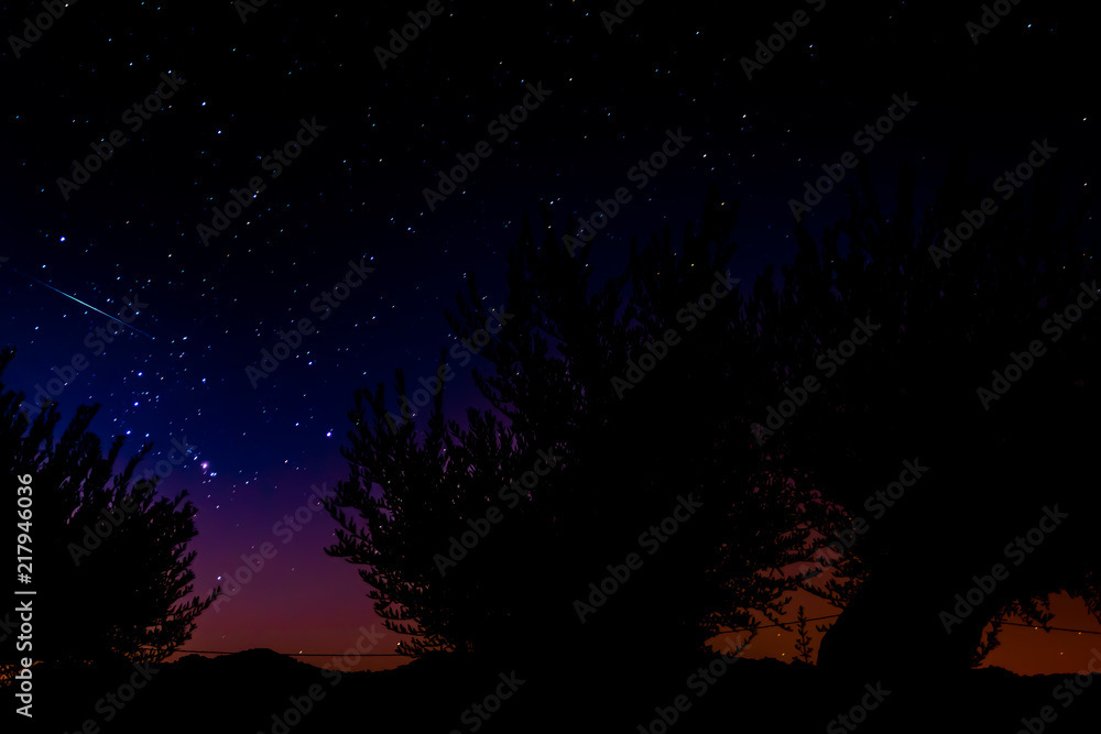 Hermoso paisaje nocturno con meteorito cayendo, estrellas y olivos