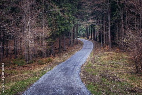 Forest road in tourist district Beskids - Moravian Wallachia near Vsetin town, Czech Republic