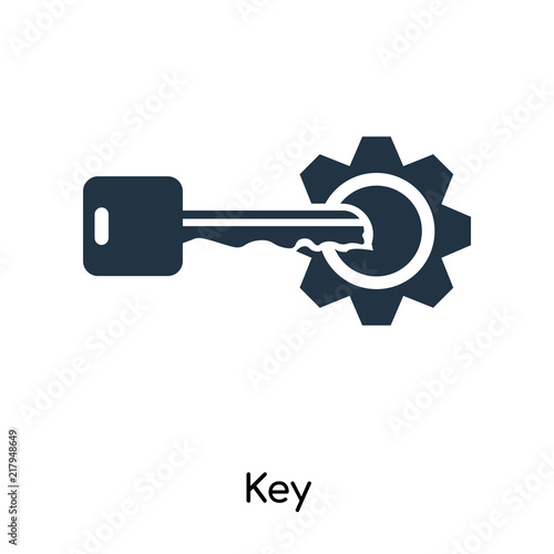 Fototapeta Naklejka Na Ścianę i Meble -  Key icon vector isolated on white background, Key sign