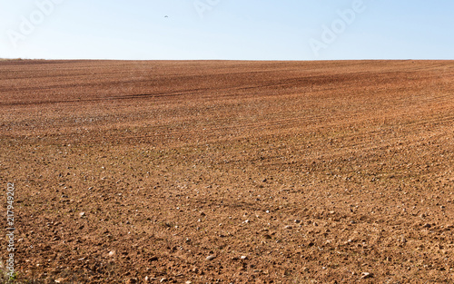 Paisaje con terreno agricola , arado recientemente y preparados para el cultivo