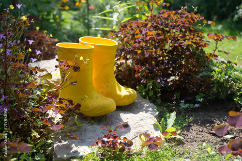 little yellow rubber boots in warm soft light on a blurred background