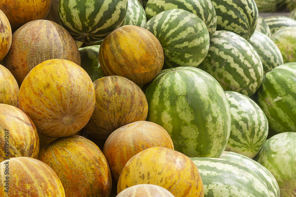 Large variety of melons: watermelons and musk melons