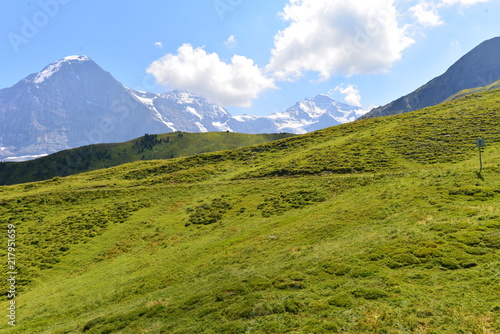 Eiger Nordwand in den Berner Alpen