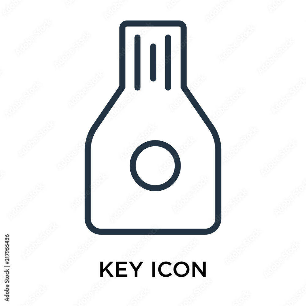 Naklejka premium key icon isolated on white background. Simple and editable key icons. Modern icon vector illustration.
