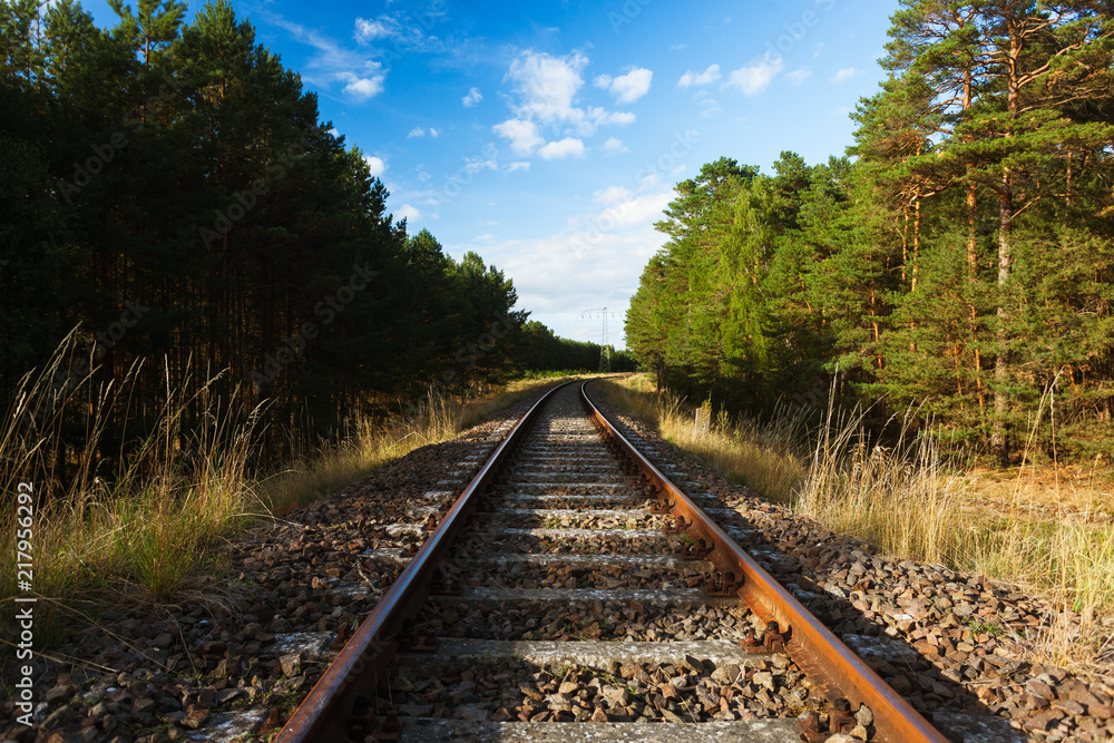 Fototapeta premium Ancient Train Tracks leading throgh a sunny Wood in Evening Light