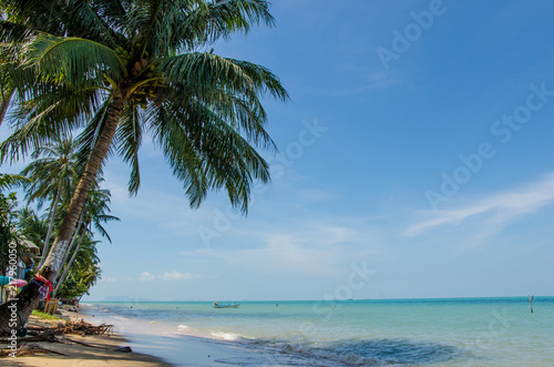 Beautiful beach frontage with coconut trees and sunshine line.