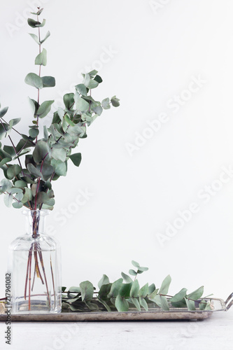 White room interior decor details with greenery of eucaliptus photo