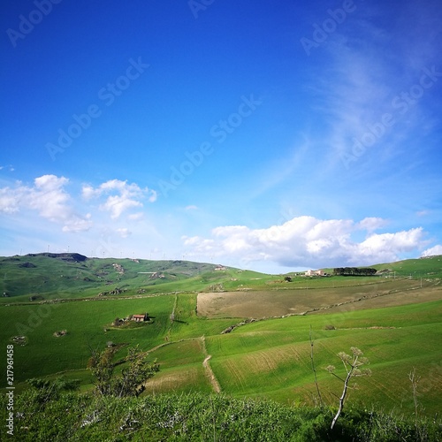 paesaggio natura verde cielo