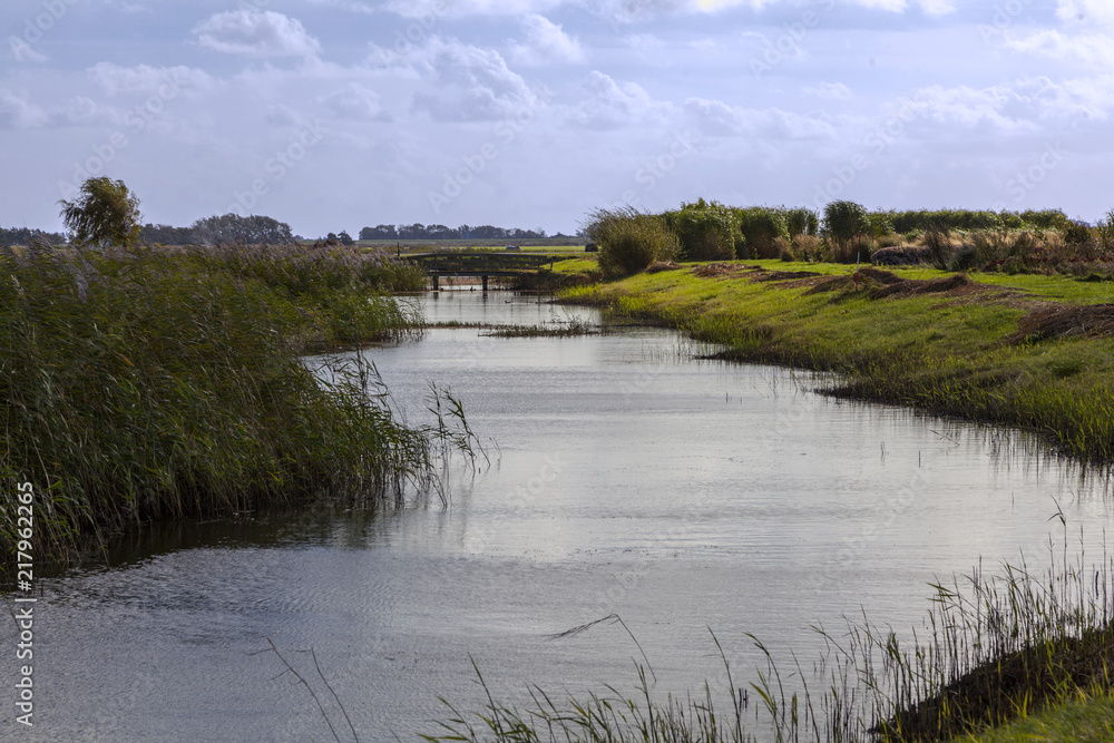 Fototapeta premium Landschaft auf Texel