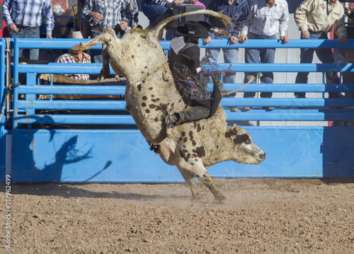 Bull Rider