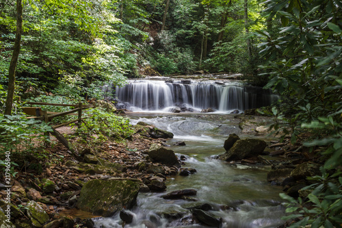 Fototapeta Naklejka Na Ścianę i Meble -  Beautiful high waterfall among the forest in summer. Waterfall and Botanical Preserve Pearson's Falls, Saluda, NC, USA