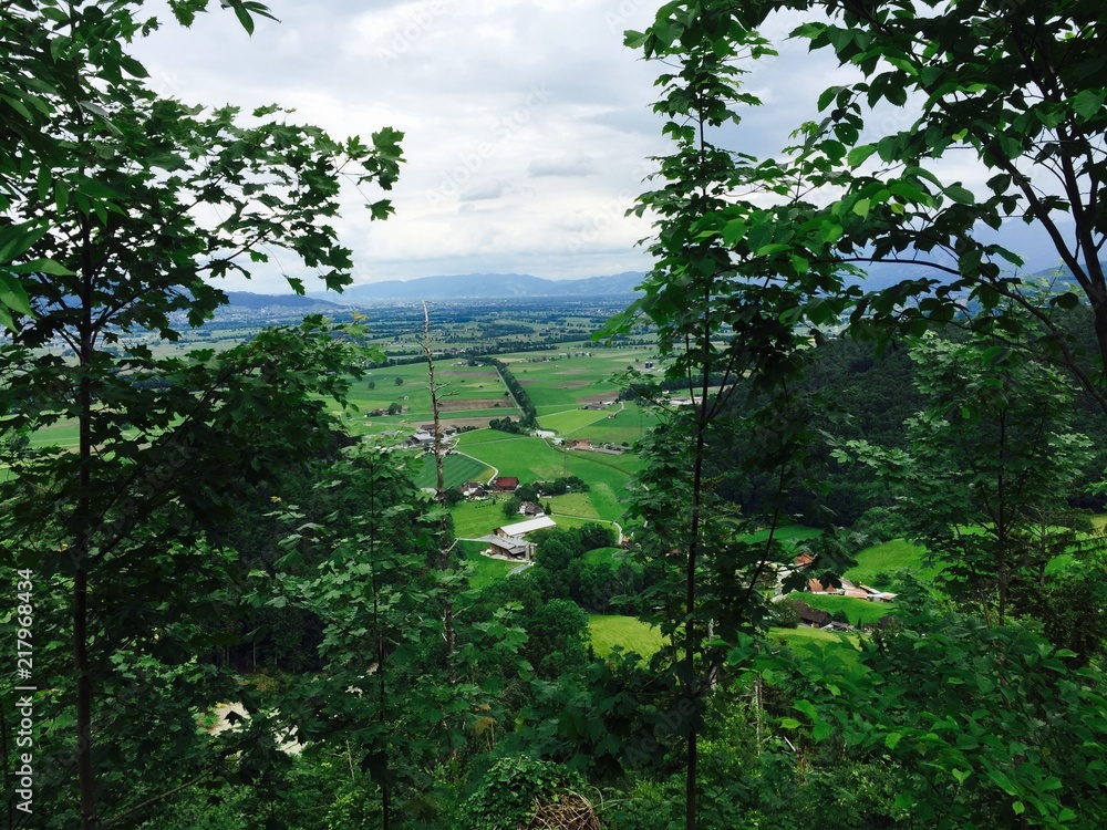 Fototapeta premium Thal in der Schweiz 