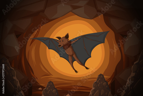 Bat in a cave