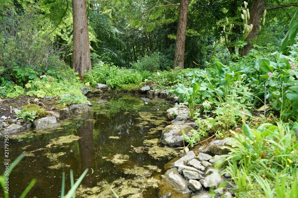 Backwater on the Danube in Germany are valuable nesting grounds for rare birds and fish Backwater,
Backwater on the Danube in Germany are valuable nesting grounds for rare birds and fish Backwater,