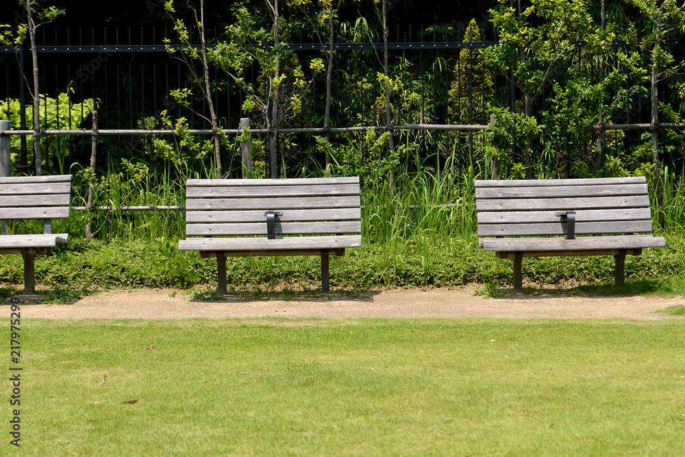 Wooden Bench in Park Wooden Bench in Park