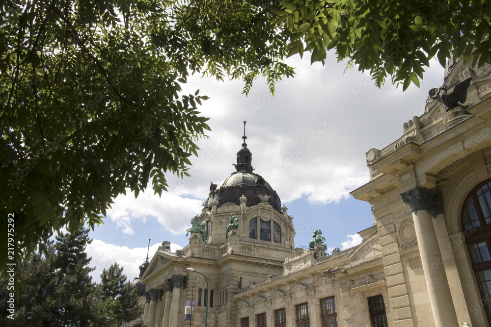 Obraz premium Buildings in Budapest 
