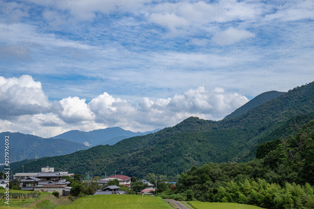 Landscape of countryside,green rice fields,Toon city,Ehime,Shikoku,Japan