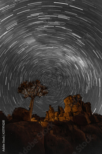 Star trails circle over quivertrees photo