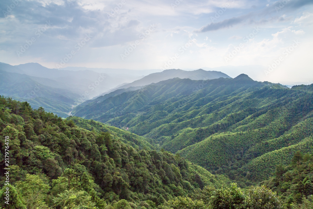 Naklejka premium Huang Yang circle, Jinggangshan, Jiangxi, China