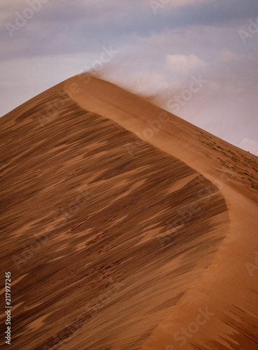 Fototapeta Naklejka Na Ścianę i Meble -  Strong winds blow the sand off the top of this sand dune