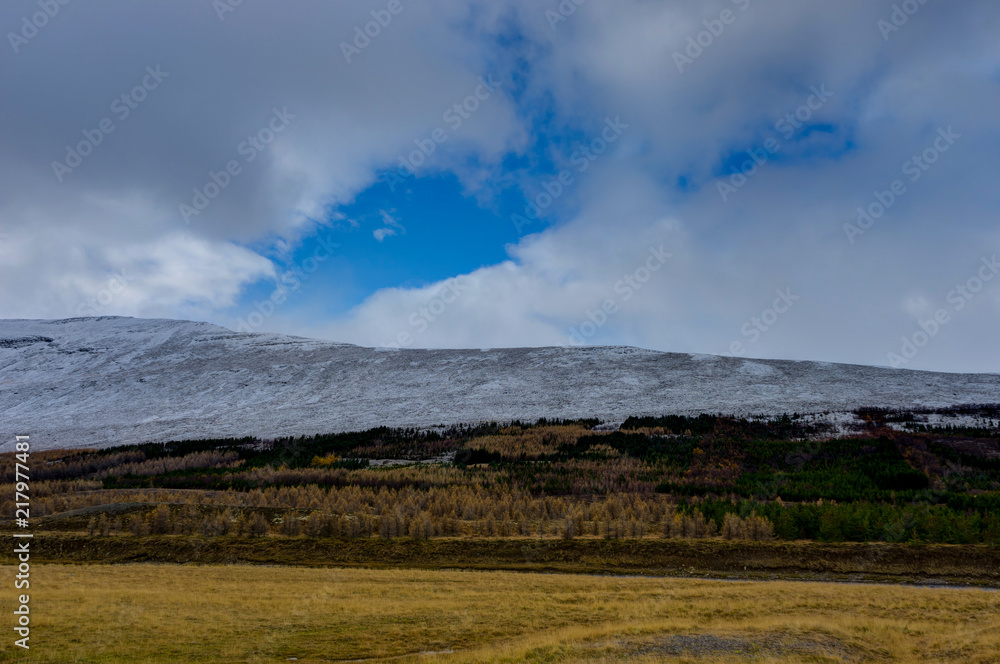 Winter in the mountains. Christmas landscape on a sunny morning.