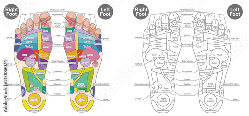 Foot pressure point set / Color and white