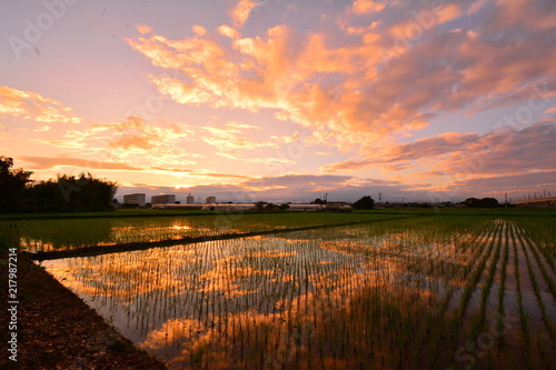 Sunset time’s sunset sky is reflected on the water surface  photo