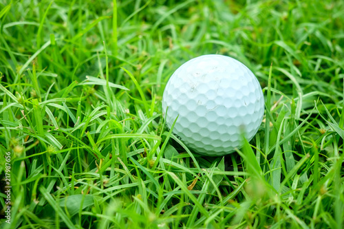 Golf Ball Nestled in the Grass