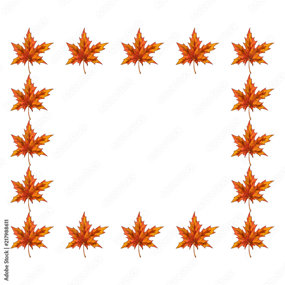Beautiful frame of bright maple leaves isolated on white background. Autumn design. Vector illustration. Beautiful frame of bright maple leaves isolated on white background. Autumn design. Vector illustration.