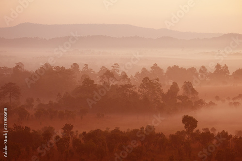 Beautiful landscape tropical forest during winter time at Thung Saleang Luang in Phetchabun, Thailand. © newroadboy