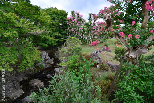 日本の奈良の庭園と茶室