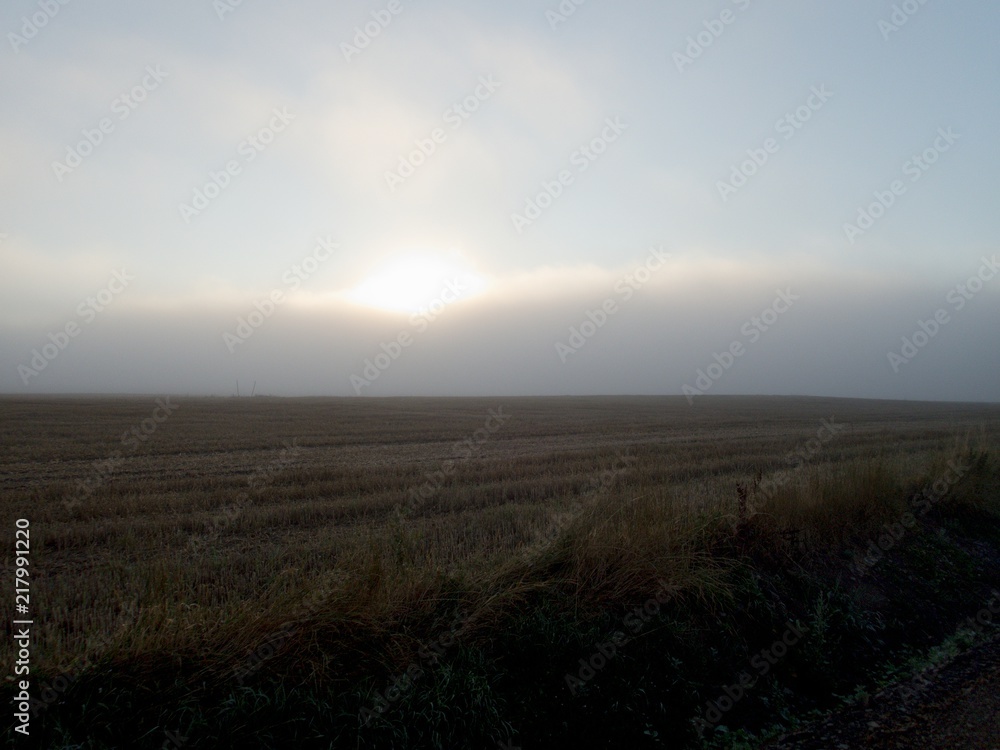 Fototapeta premium czech countryside road in a morning mist