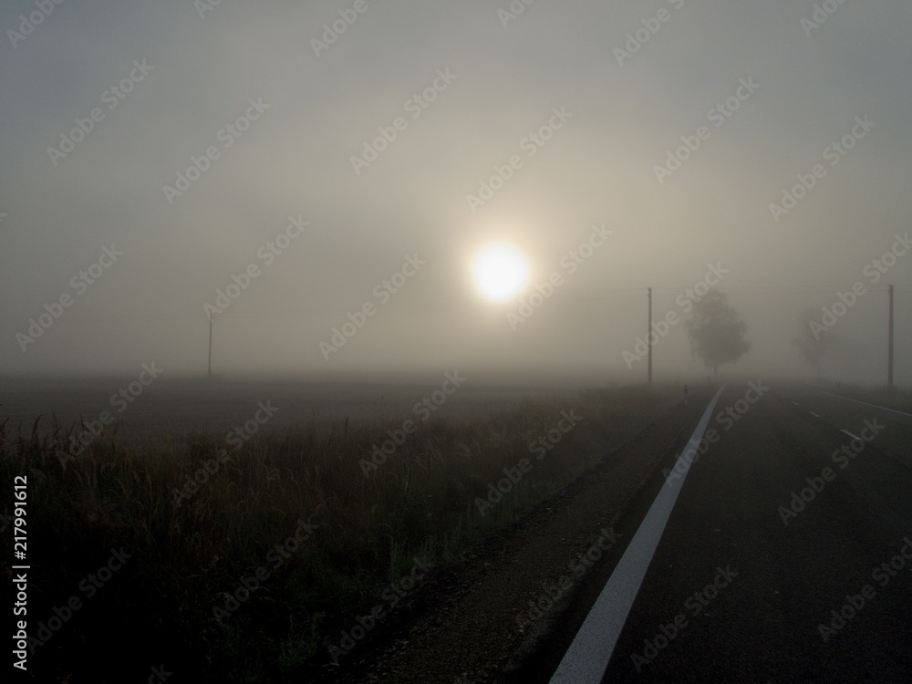 czech countryside road in a morning mist